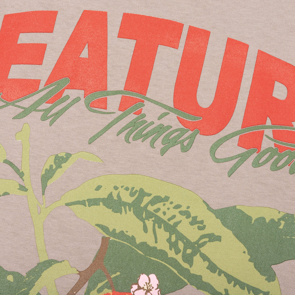 Feature