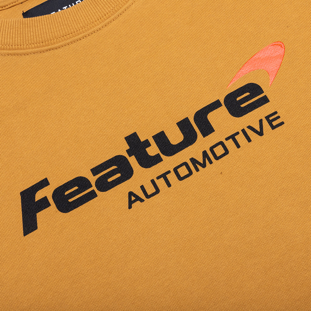 Feature