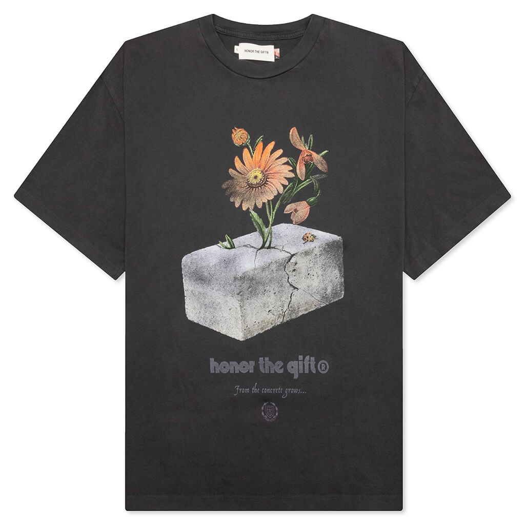 Feature