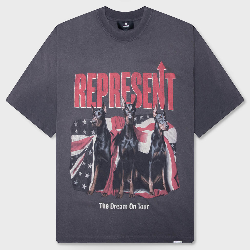 Dream On Tour T-Shirt - Sun Fade Grey