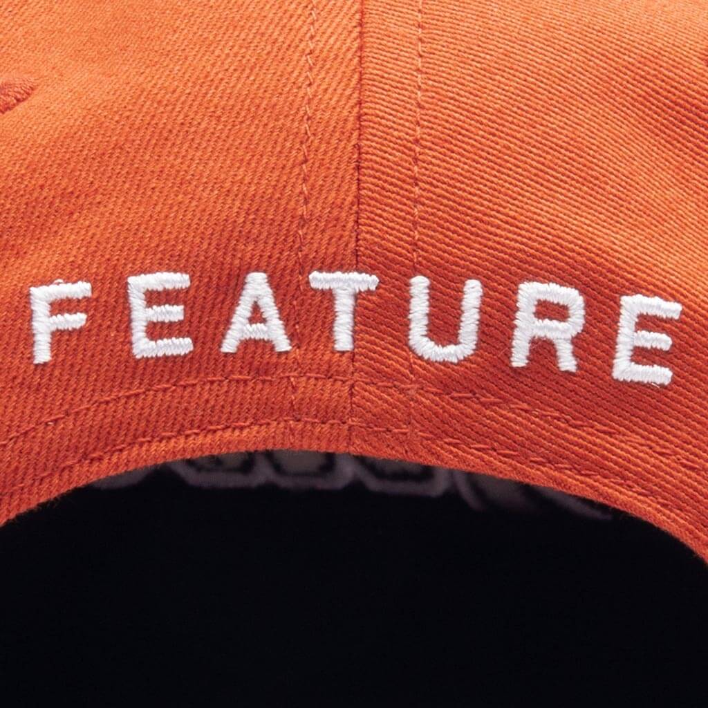 Feature