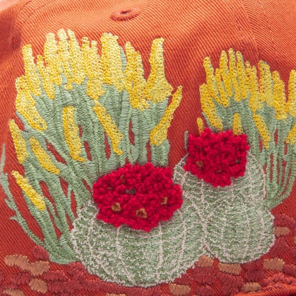 Feature