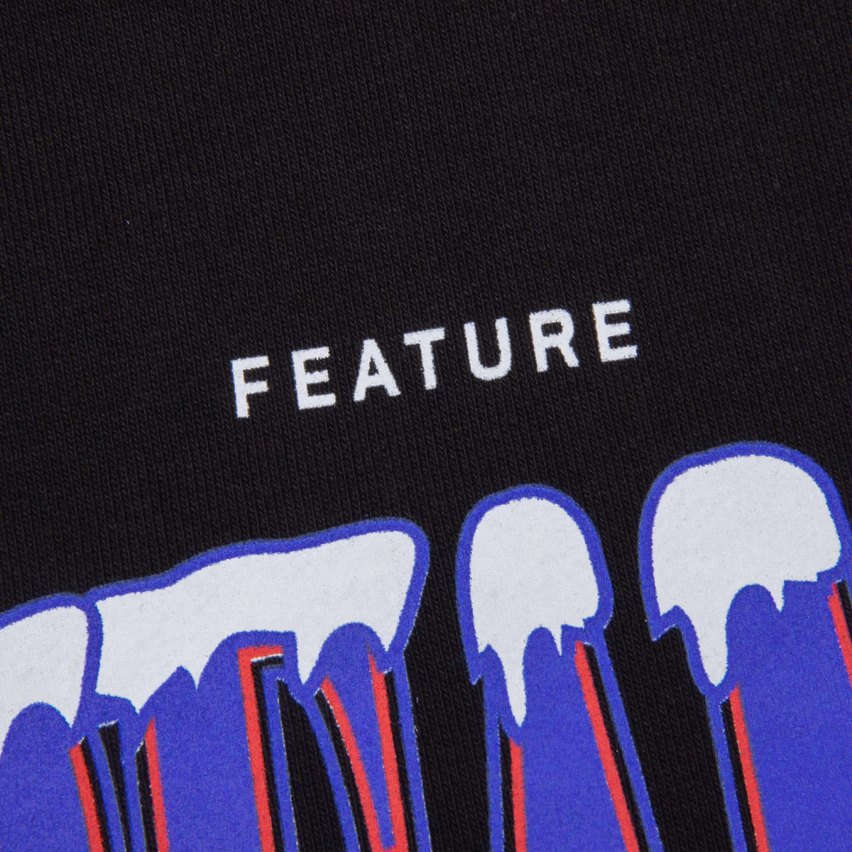 Feature