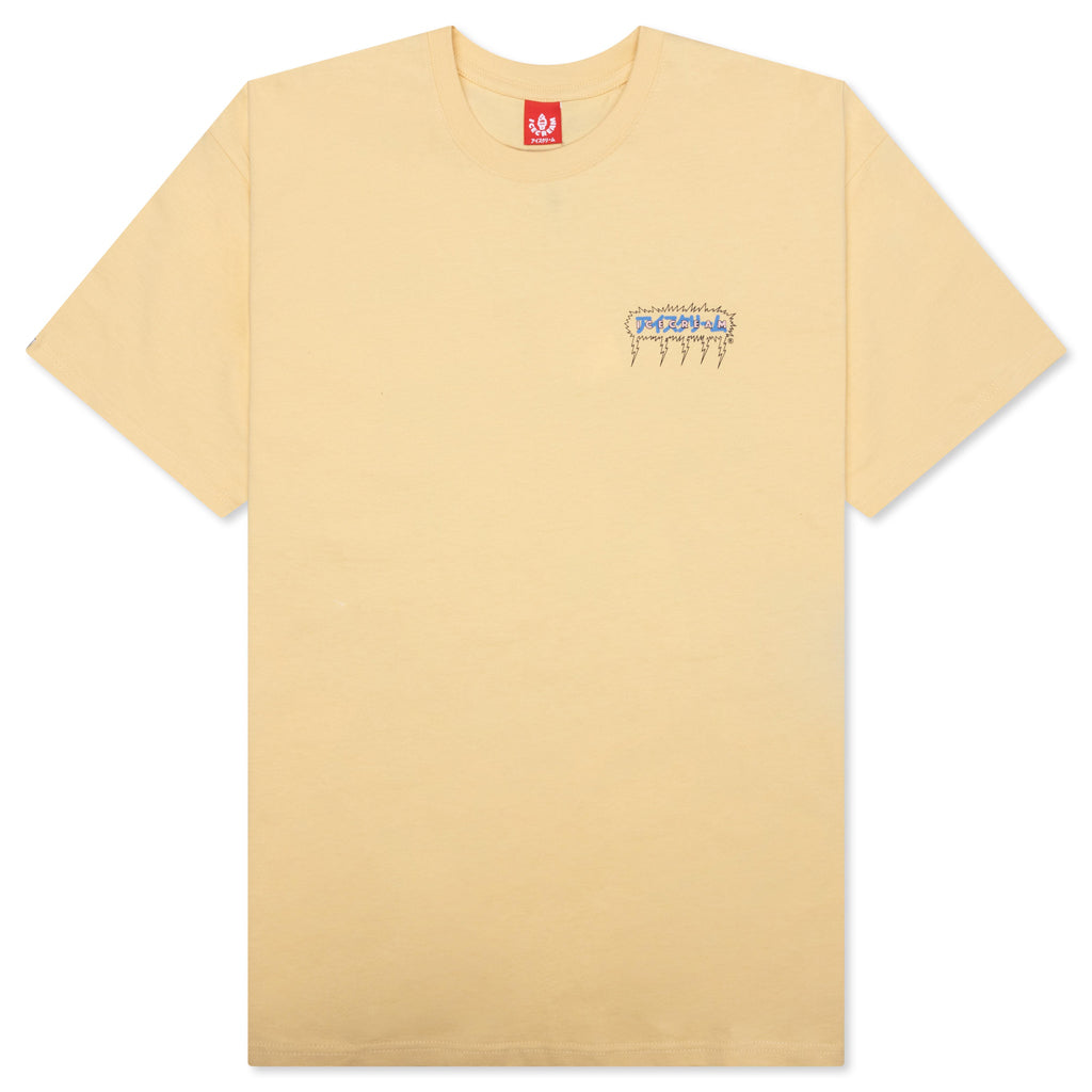 Feature