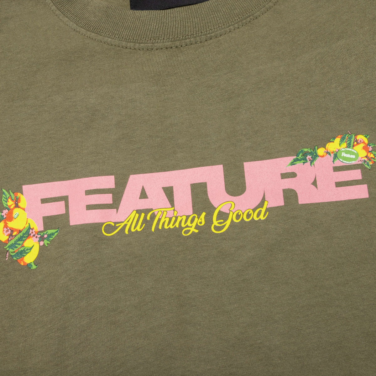 Feature