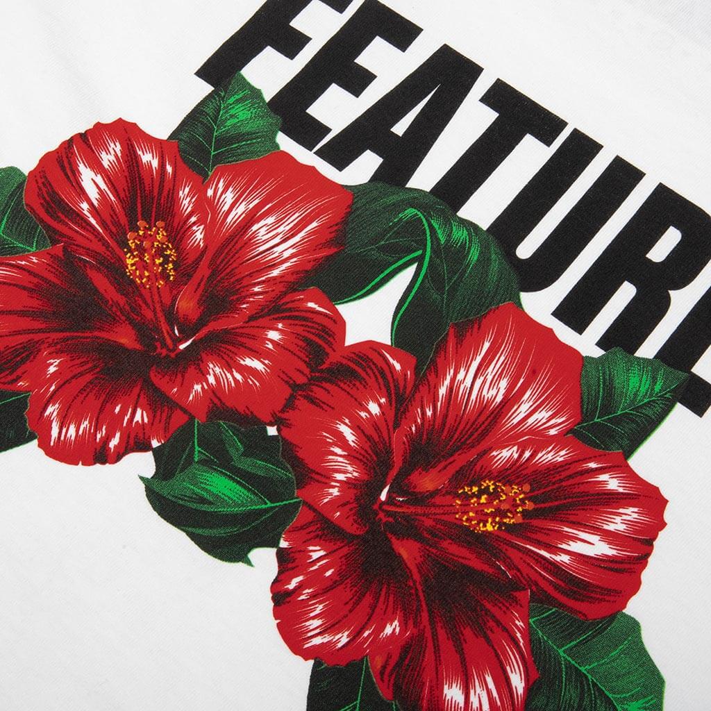 Feature