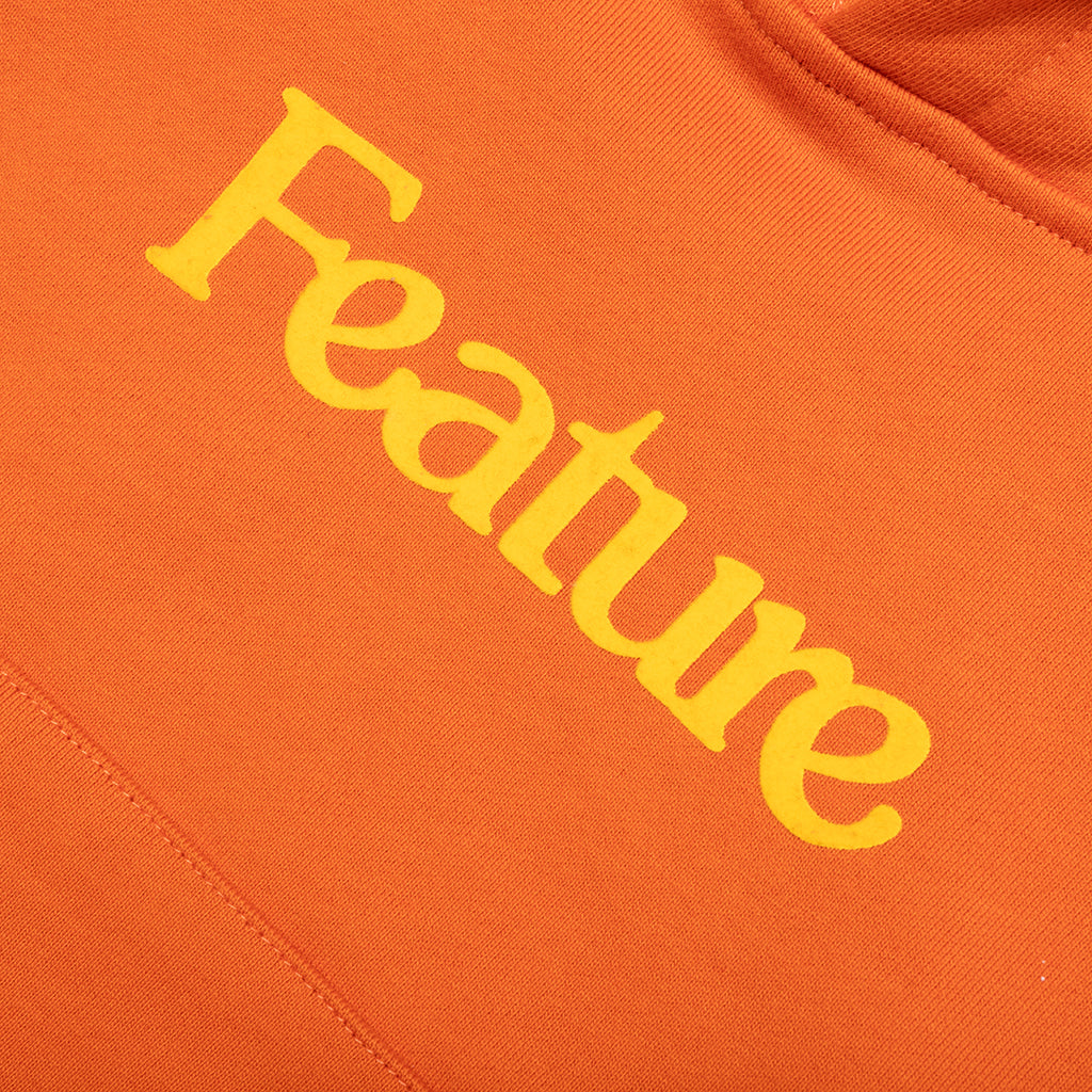 Feature