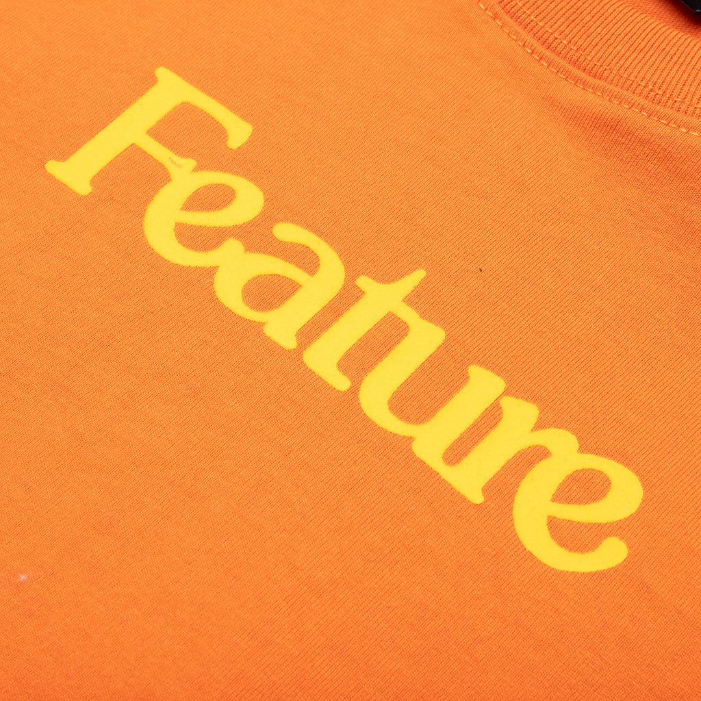 Feature