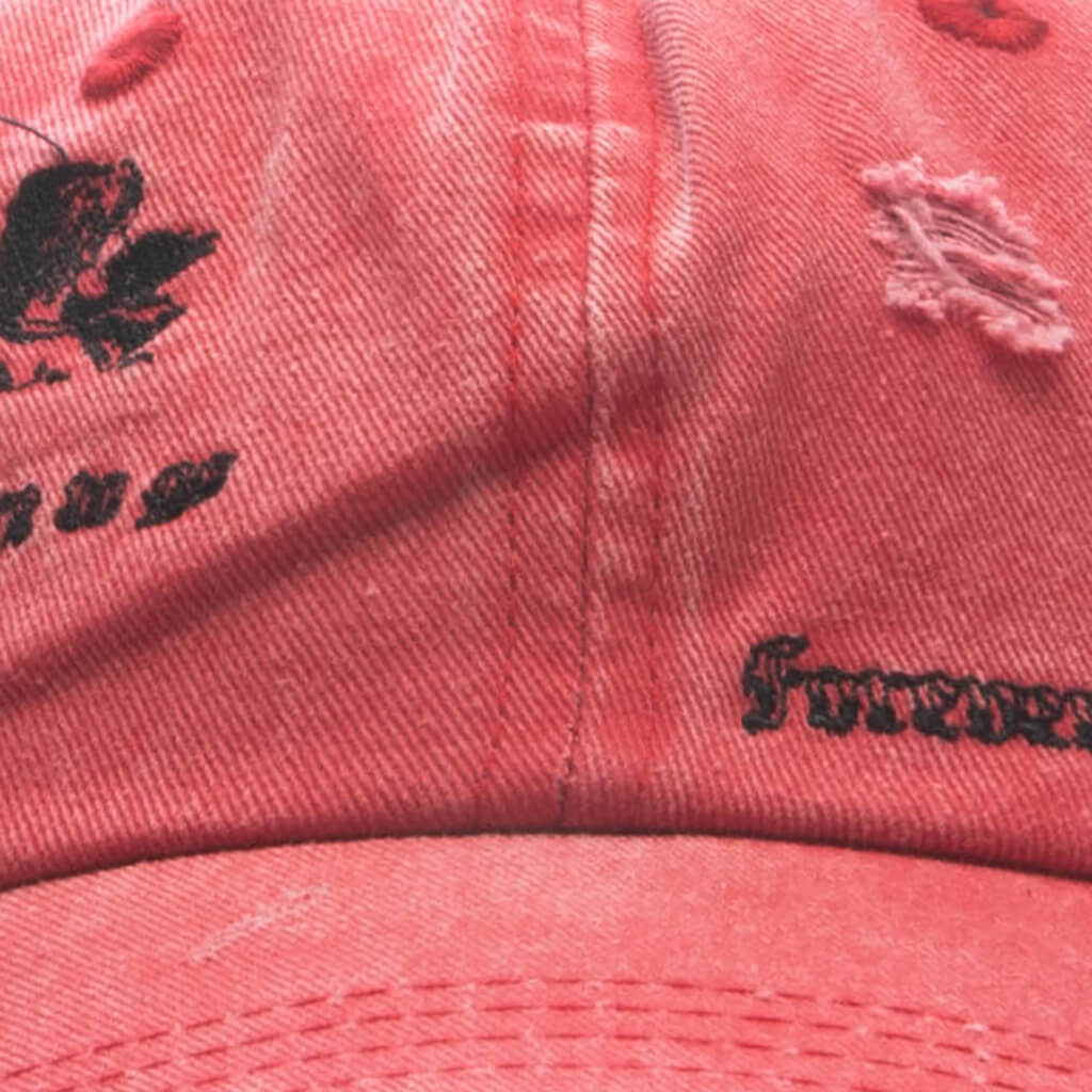Feature