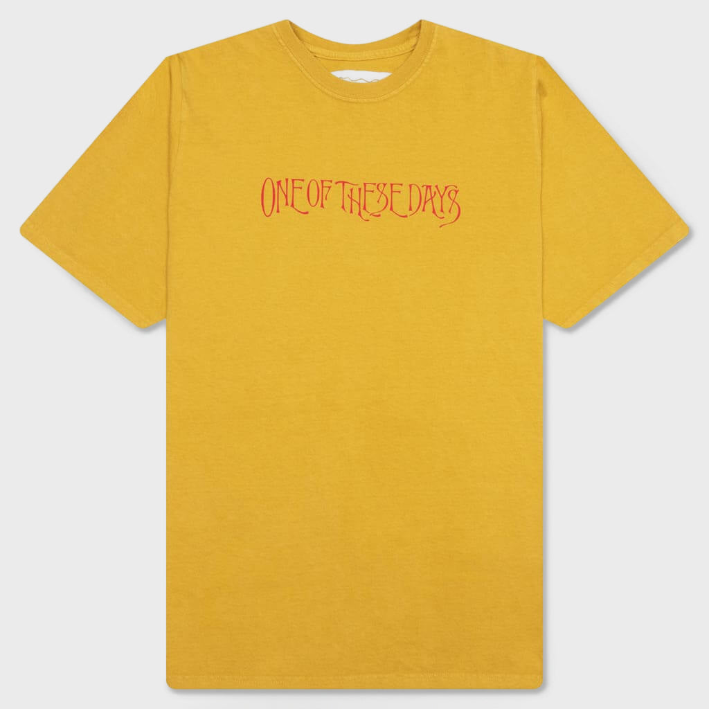 Feature