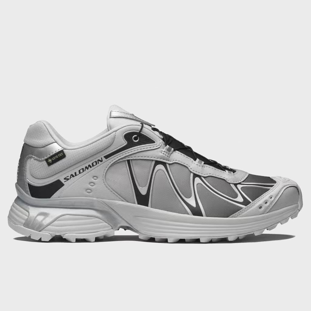 XT-Whisper GTX - Gray Violet/Black/Ftw Silver