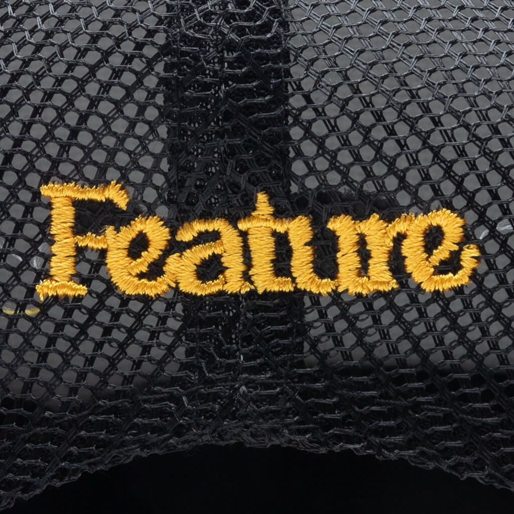 Feature