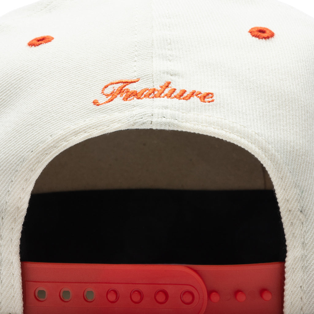 Feature
