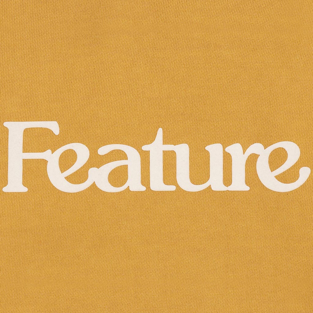 Feature