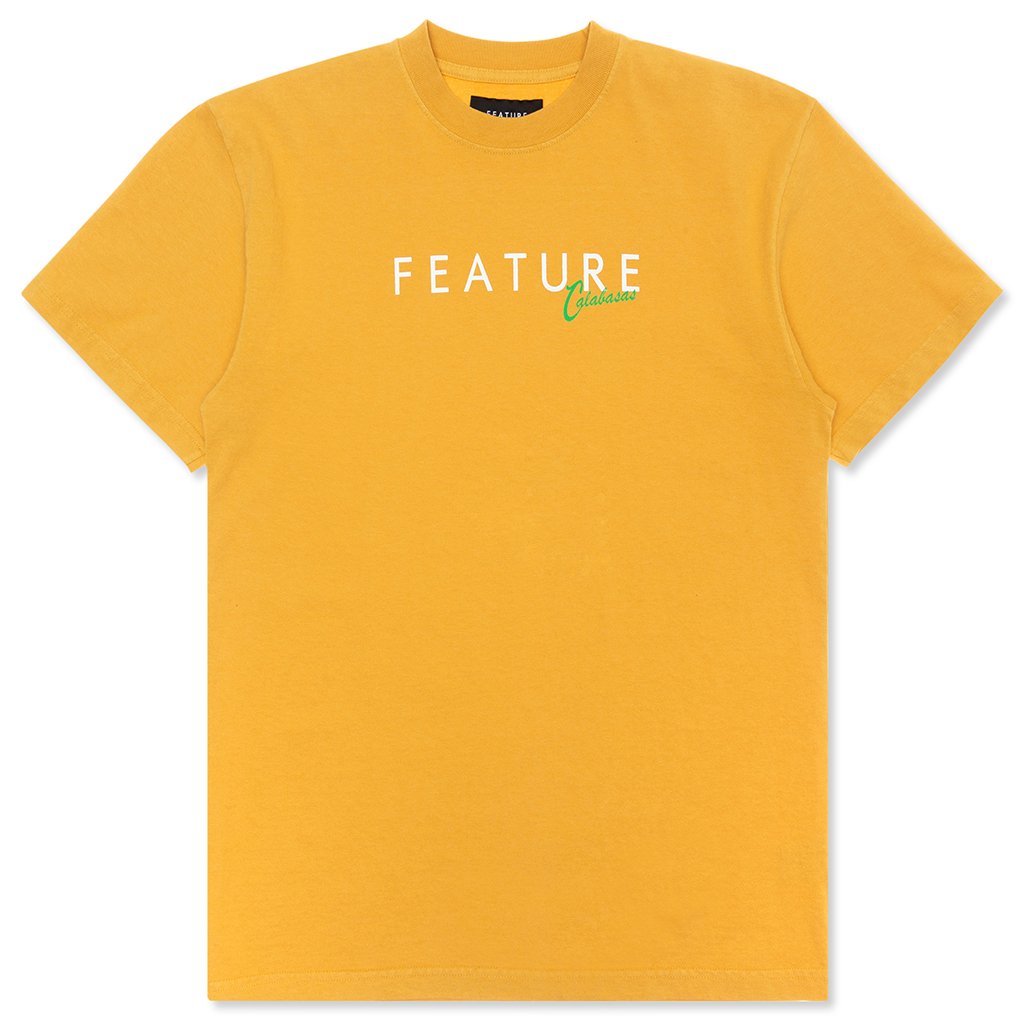 Feature